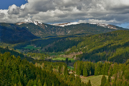 Feldberg