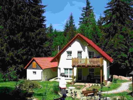 Vakantiehuis in het Zwarte Woud